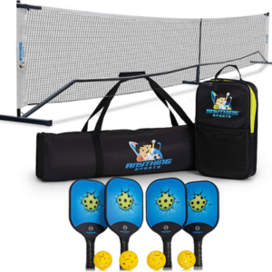 Anything Sports Pickleball Set